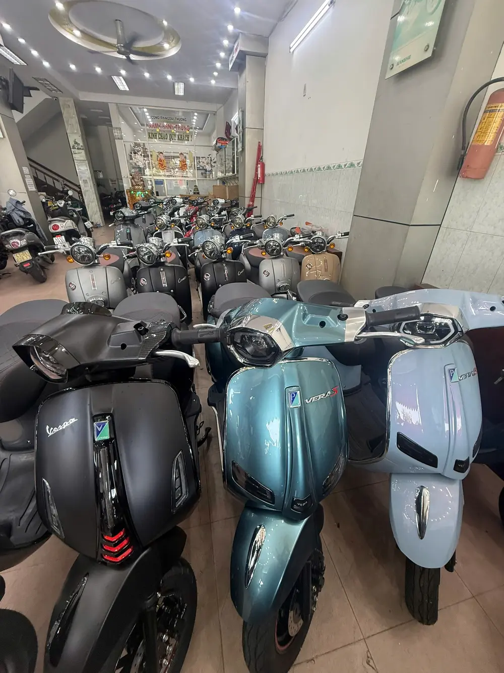 Rows of motorbikes available for rent at Vĩnh Phát